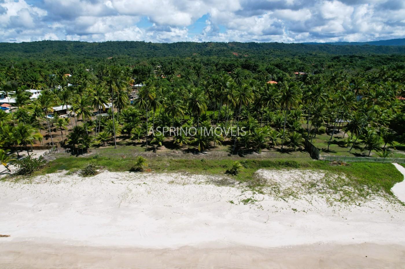 Terreno, 2 hectares - Foto 1