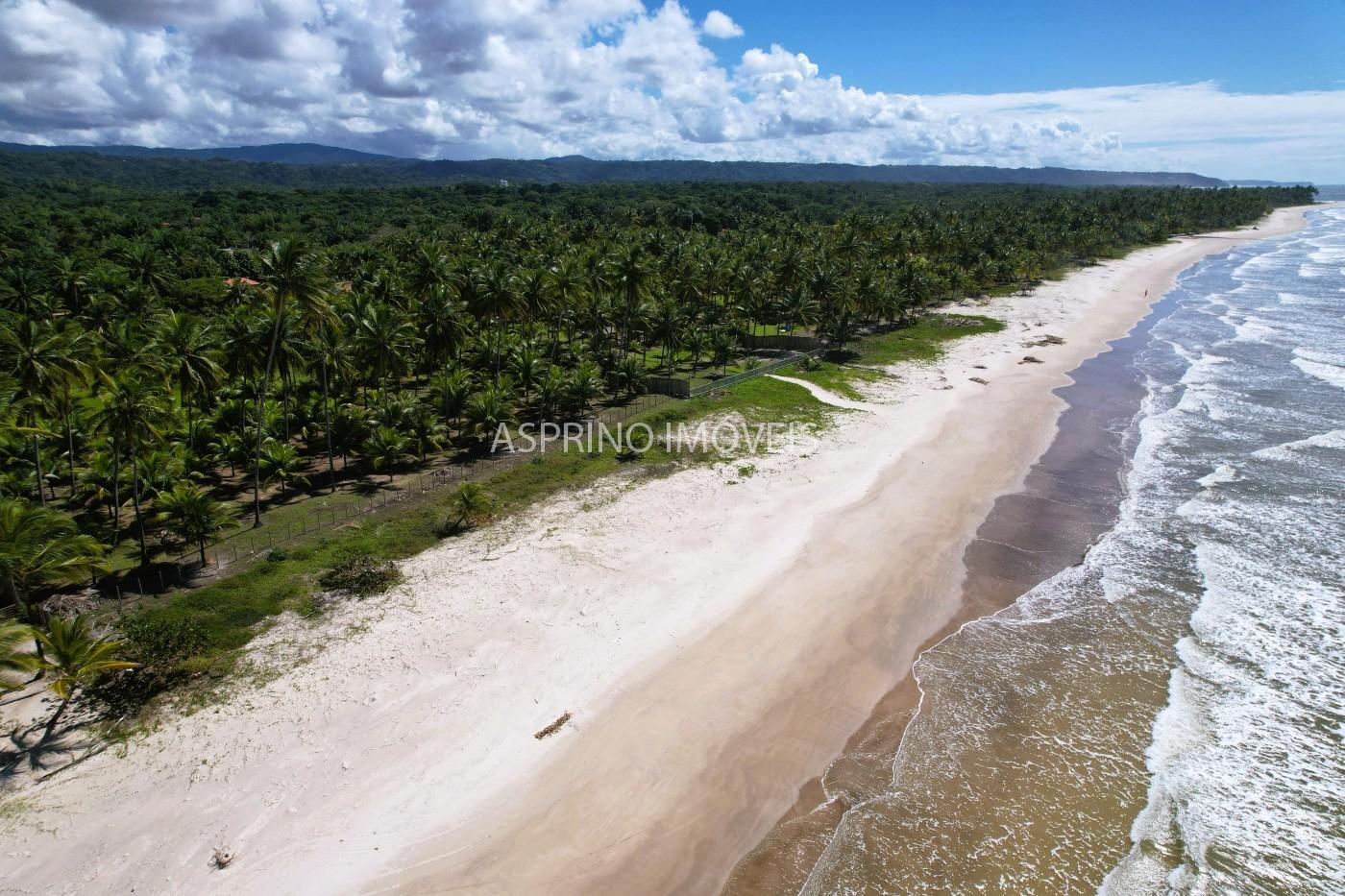 Terreno, 2 hectares - Foto 3