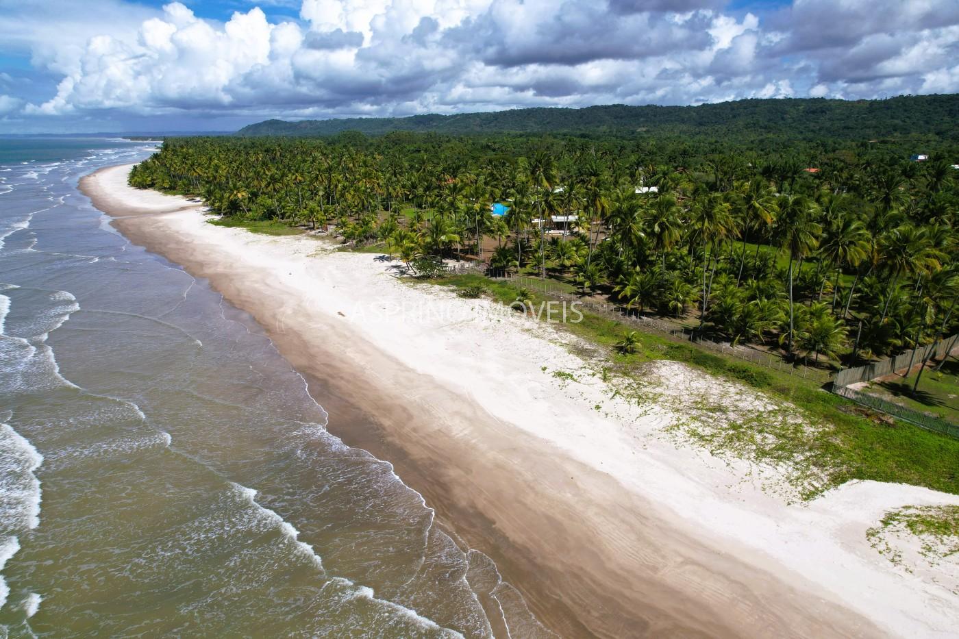 Terreno, 2 hectares - Foto 2