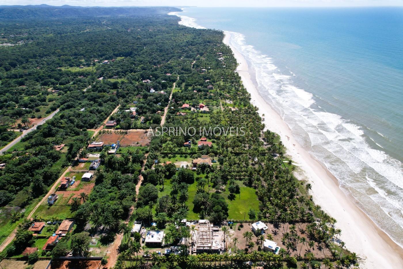 Terreno, 2 hectares - Foto 15