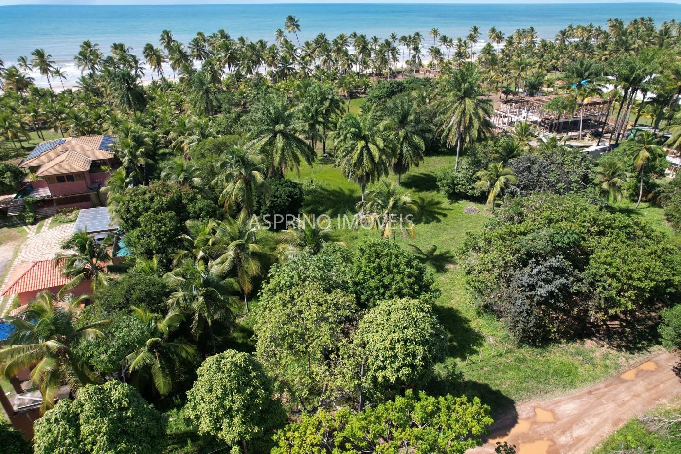 Terreno, 2 hectares - Foto 14