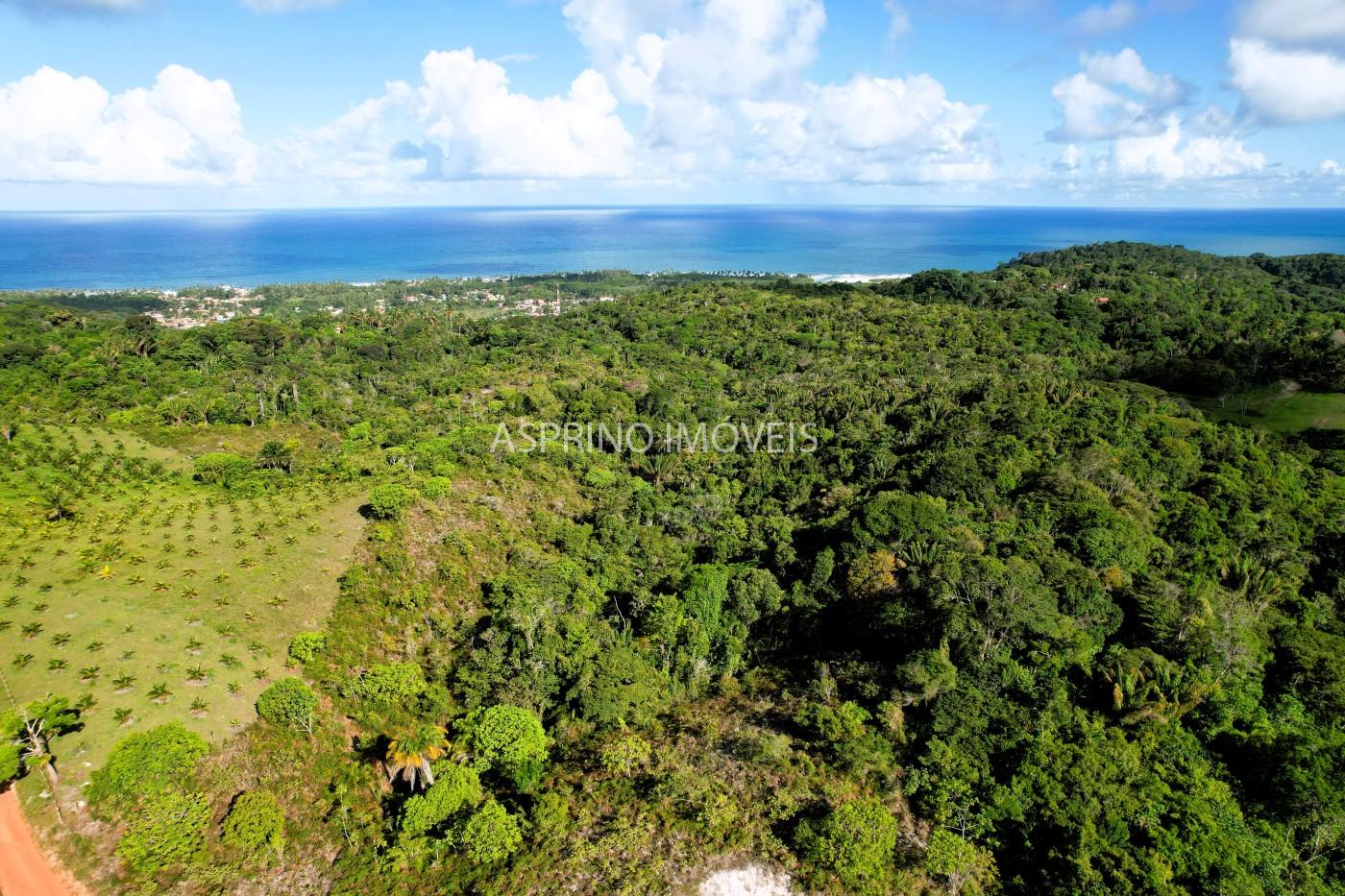 Terreno, 11 hectares - Foto 4