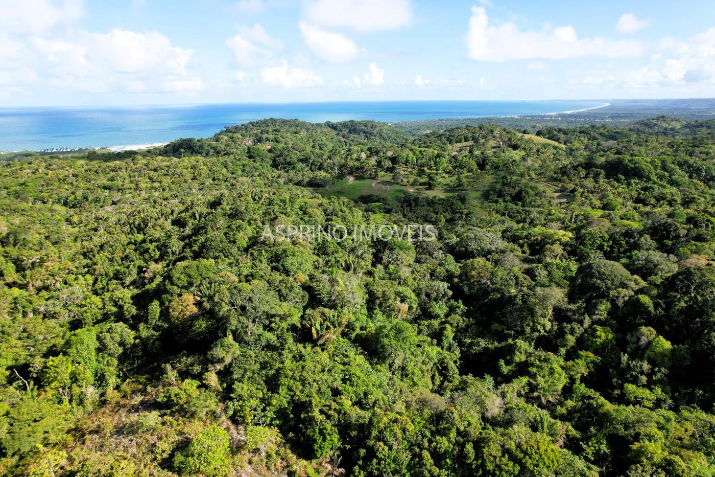 Terreno, 11 hectares - Foto 5