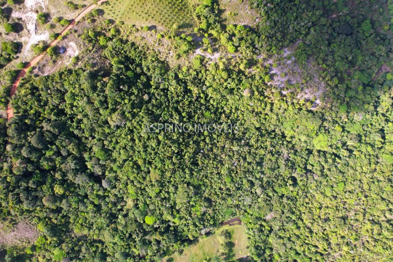 Terreno, 11 hectares - Foto 9