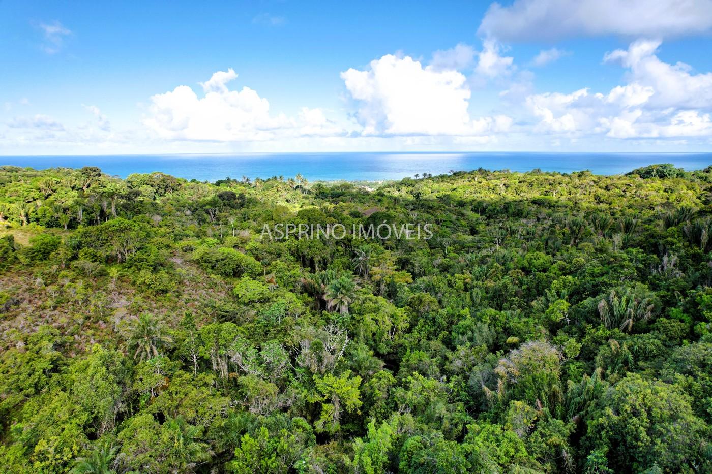 Terreno, 11 hectares - Foto 8