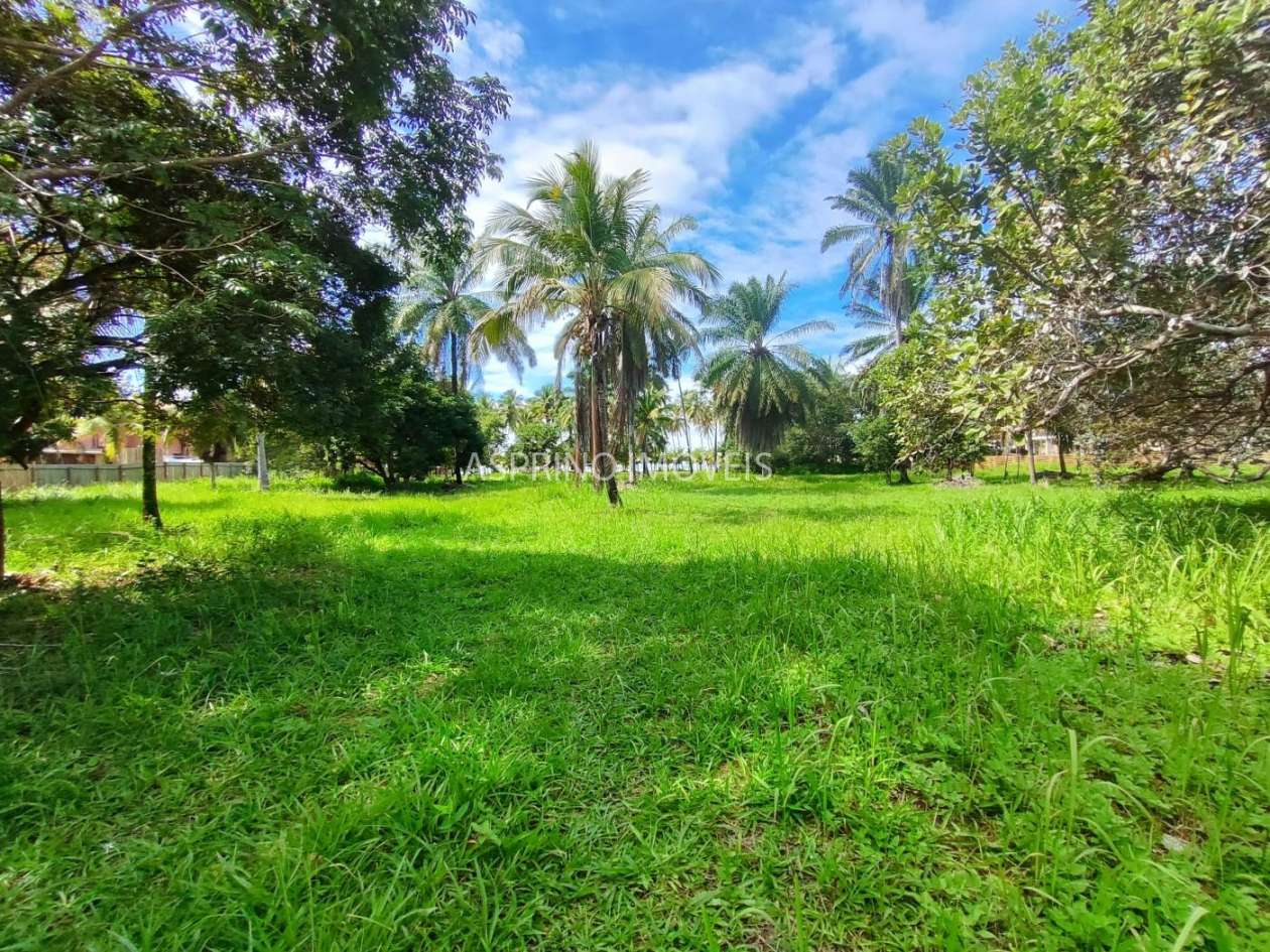 Terreno, 2 hectares - Foto 7