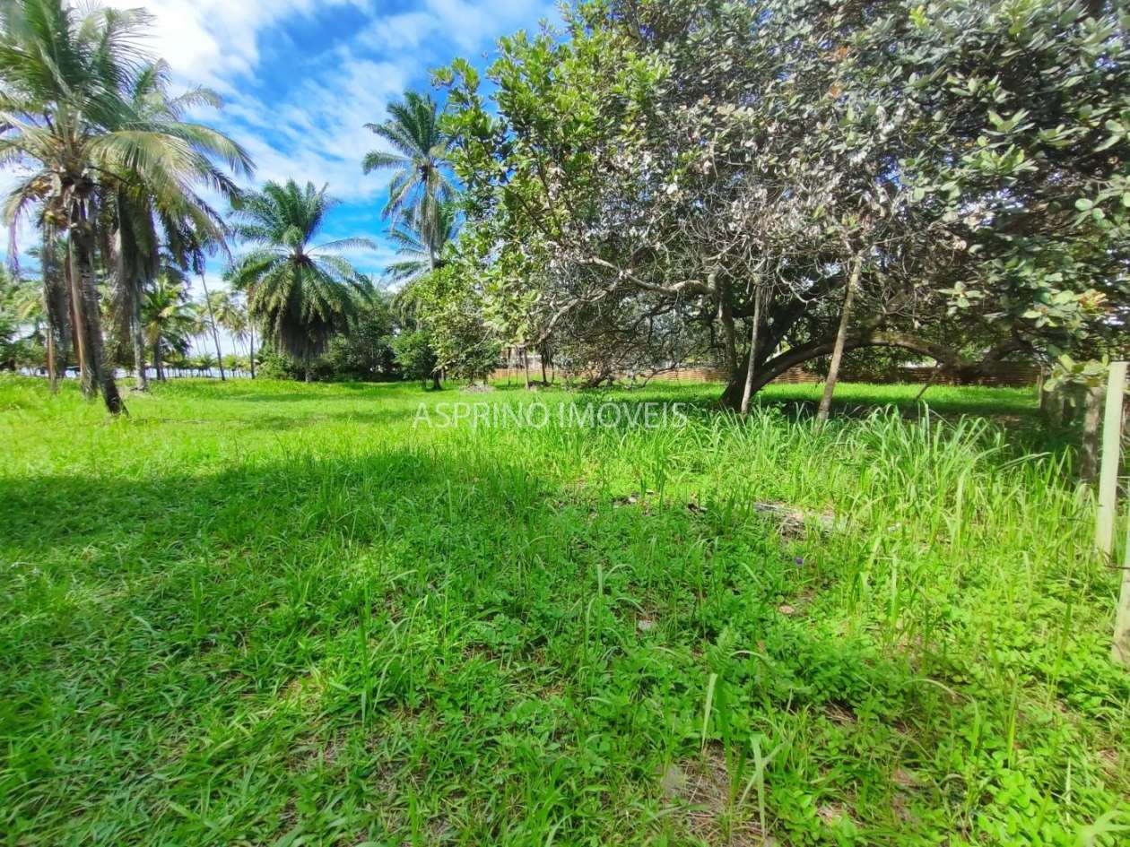 Terreno, 2 hectares - Foto 9