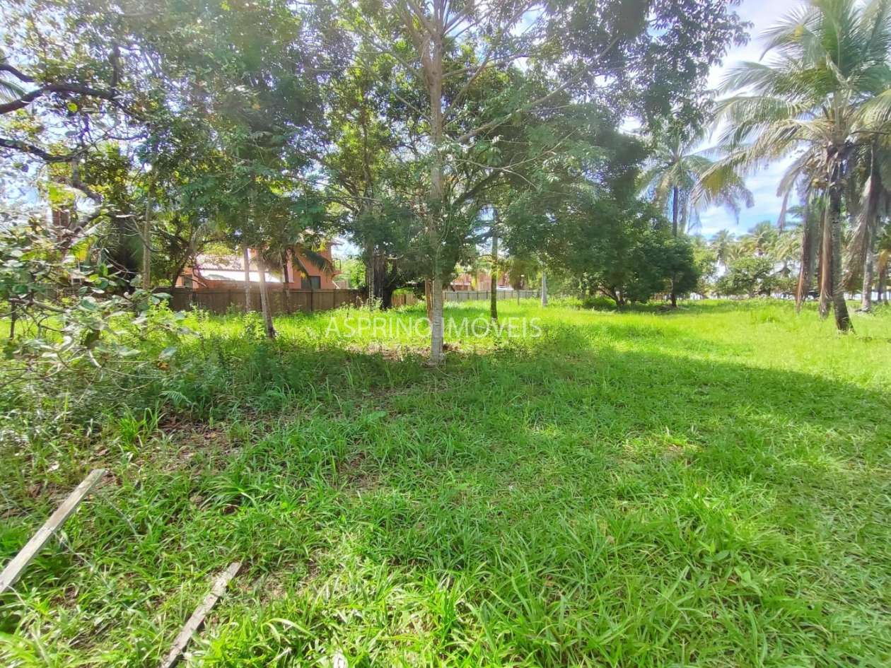 Terreno, 2 hectares - Foto 8