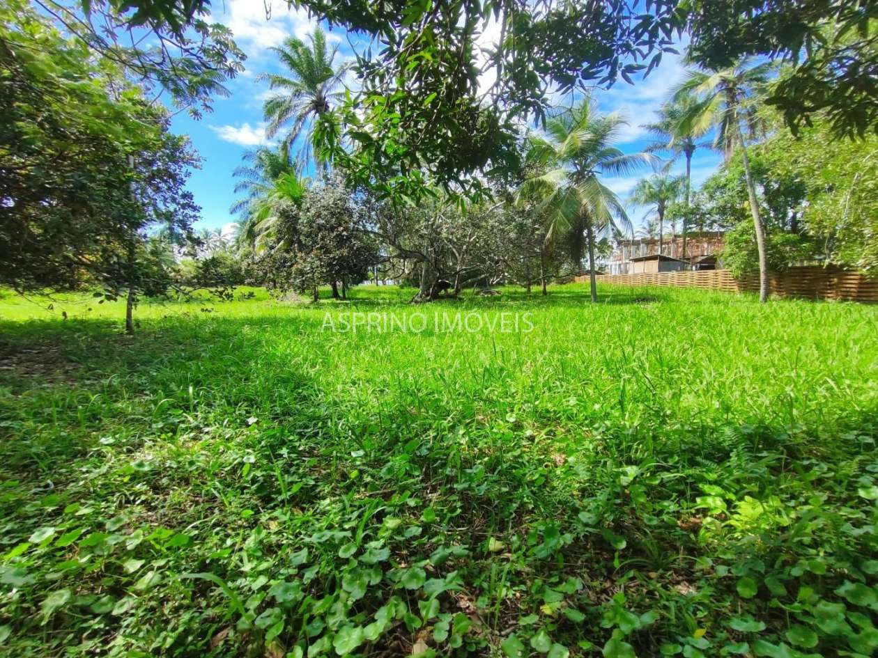 Terreno, 2 hectares - Foto 10