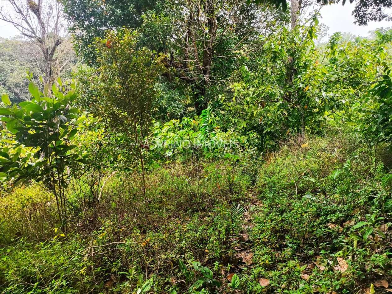 Terreno, 21 hectares - Foto 18