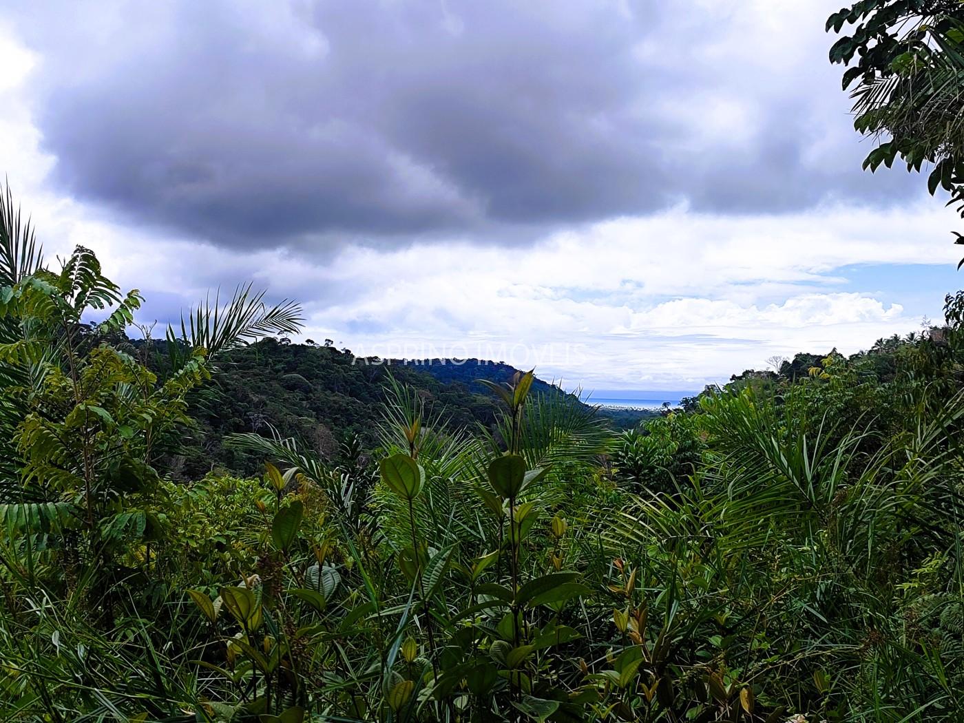 Terreno, 21 hectares - Foto 2