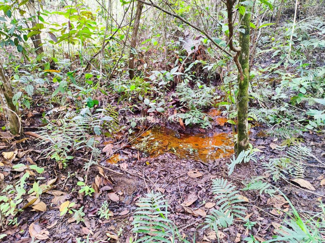 Terreno, 21 hectares - Foto 17