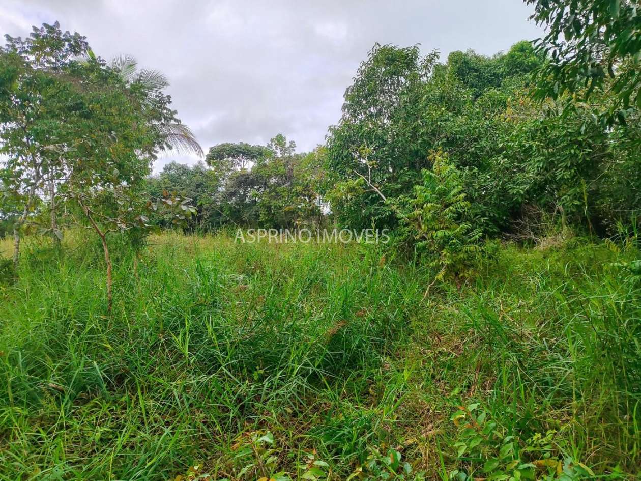 Terreno, 21 hectares - Foto 19