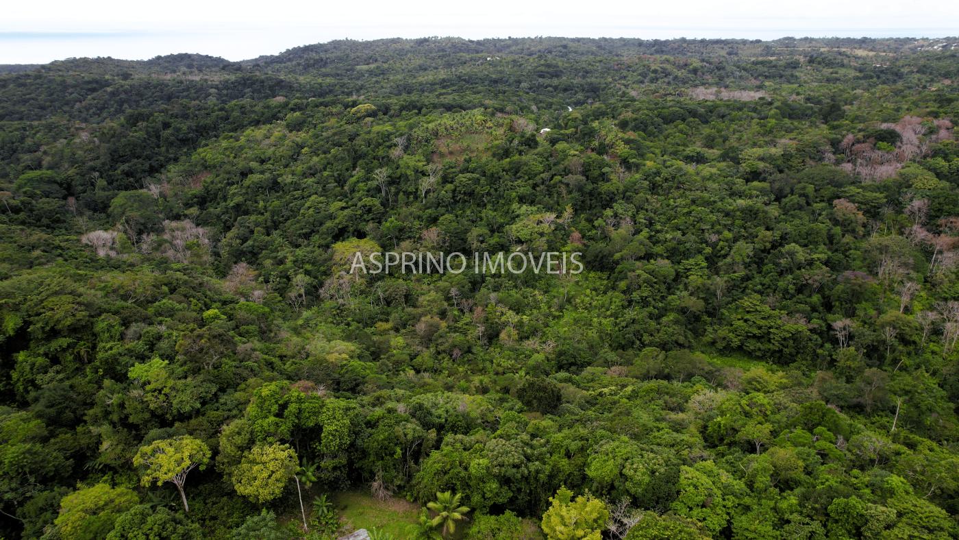 Terreno, 21 hectares - Foto 3