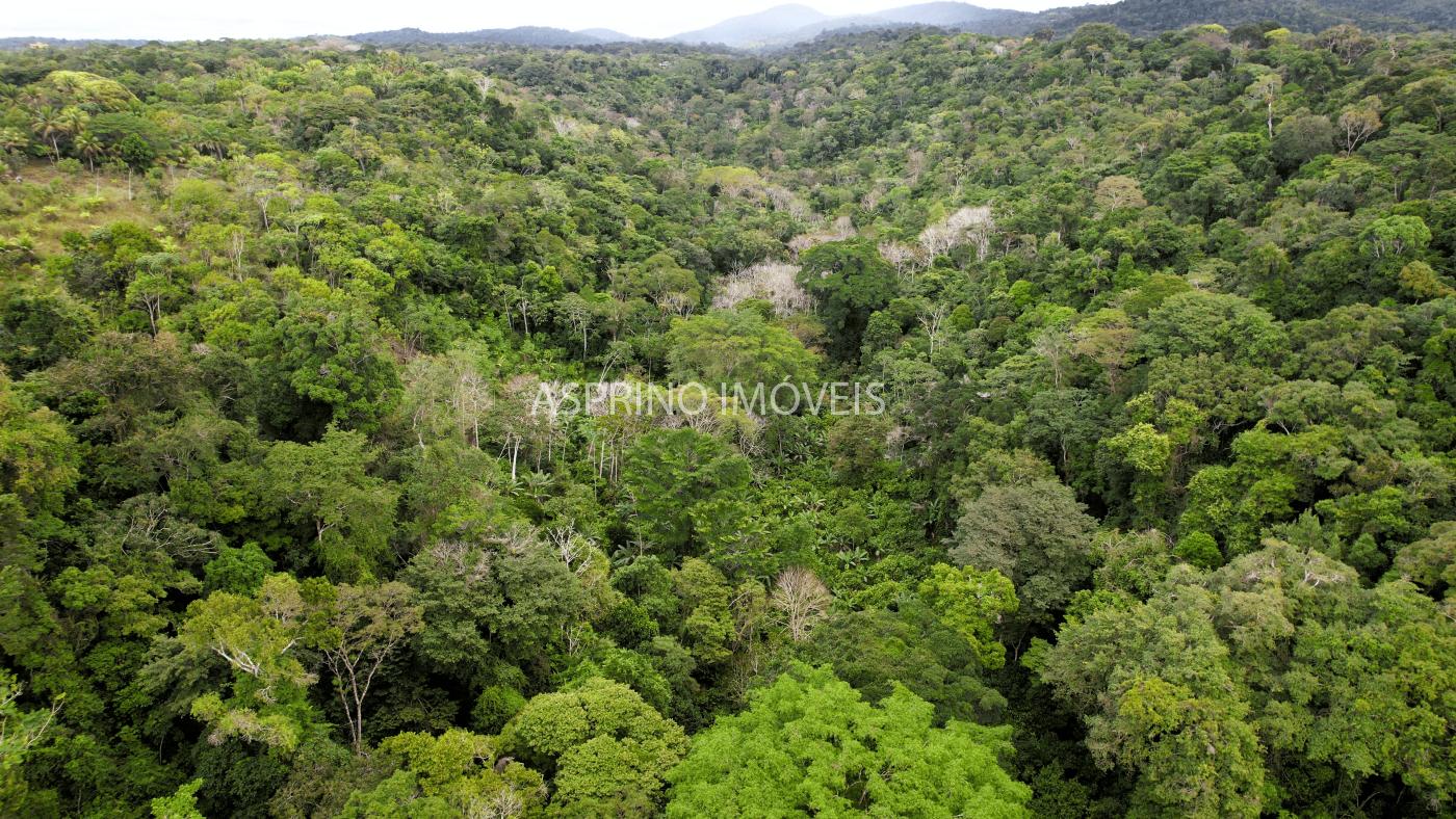 Terreno, 21 hectares - Foto 4