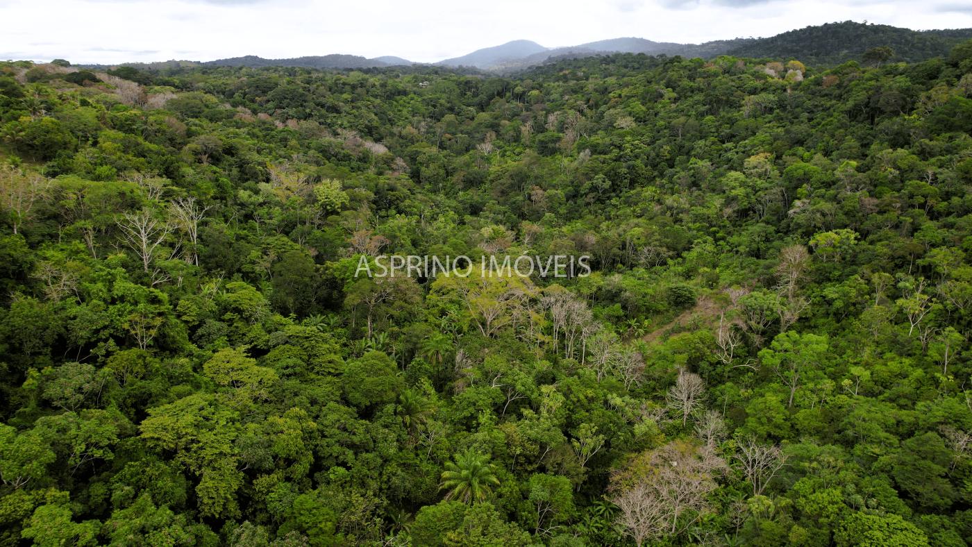 Terreno, 21 hectares - Foto 5