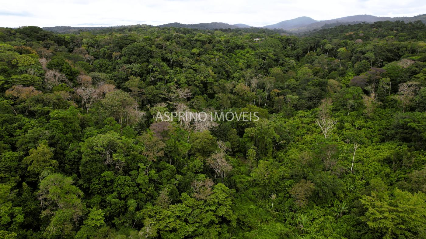 Terreno, 21 hectares - Foto 6