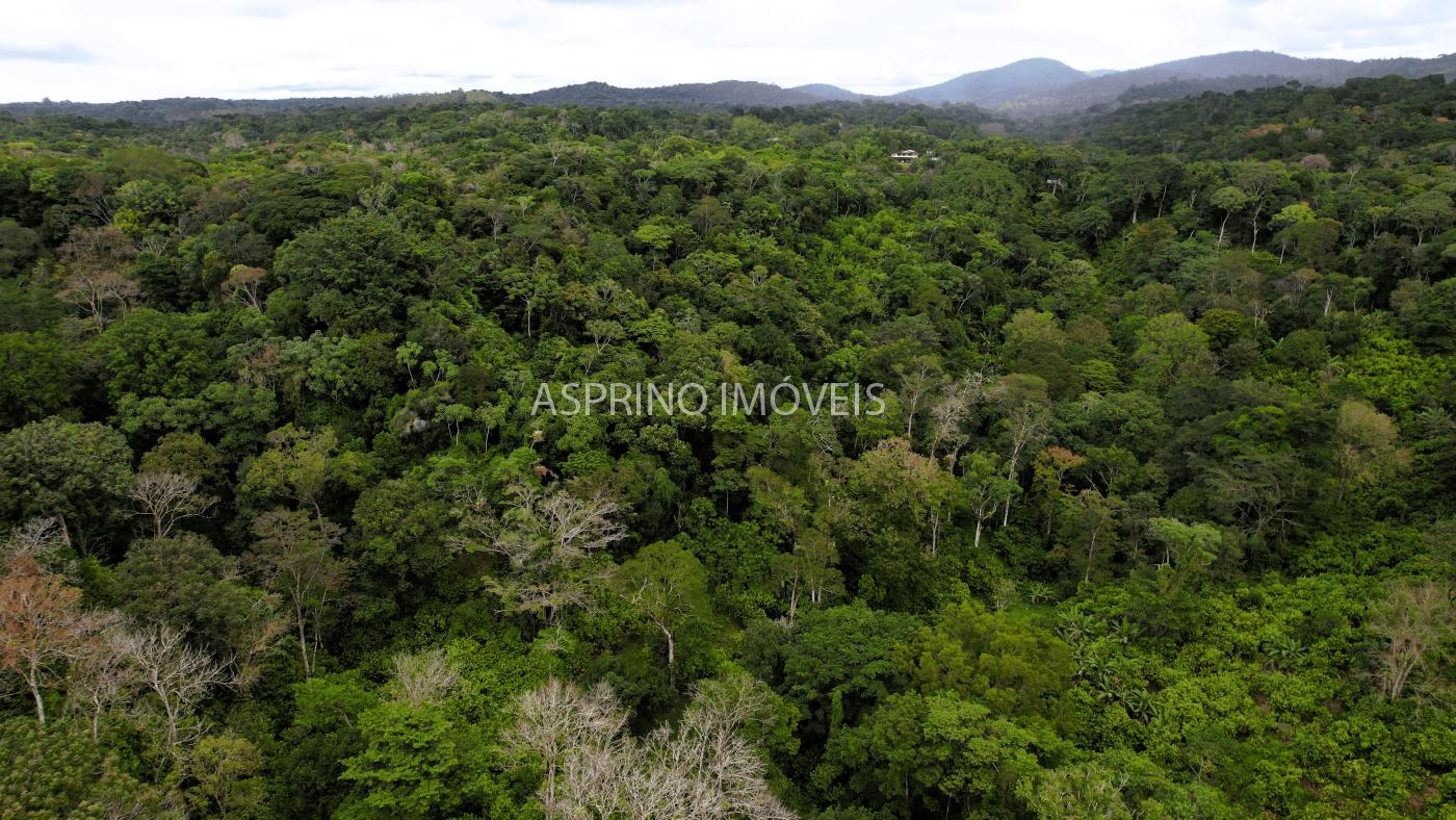 Terreno, 21 hectares - Foto 7