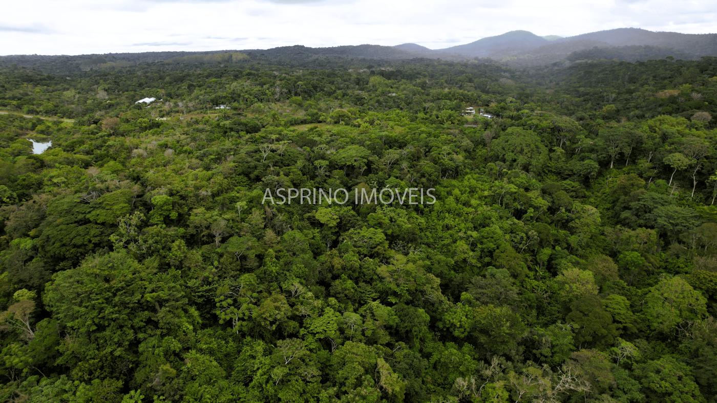 Terreno, 21 hectares - Foto 8