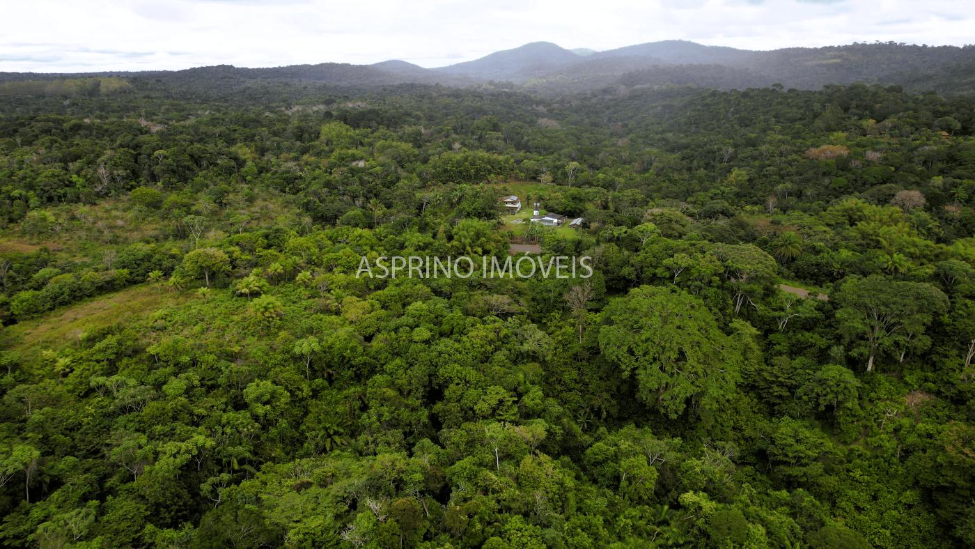 Terreno, 21 hectares - Foto 10