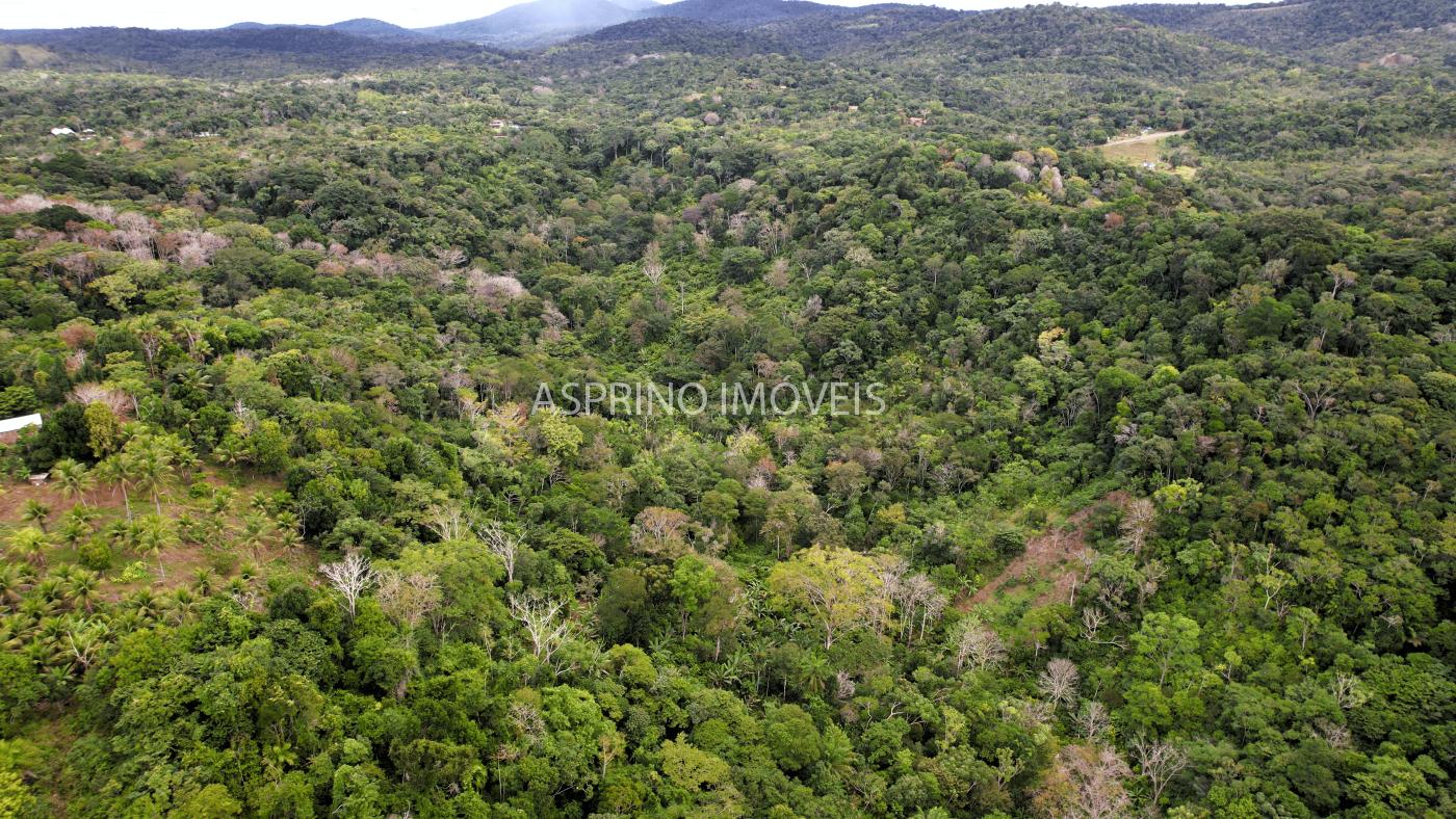 Terreno, 21 hectares - Foto 11