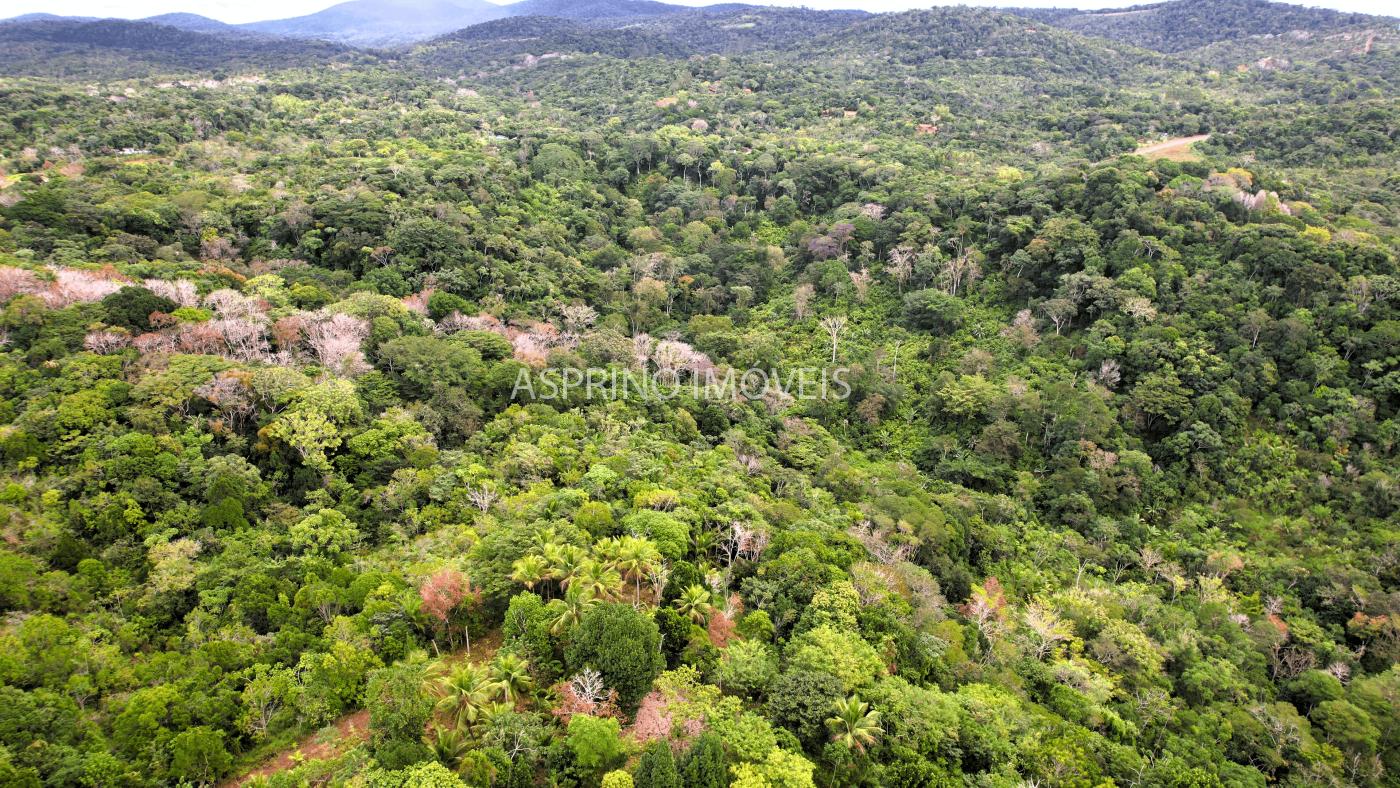 Terreno, 21 hectares - Foto 12