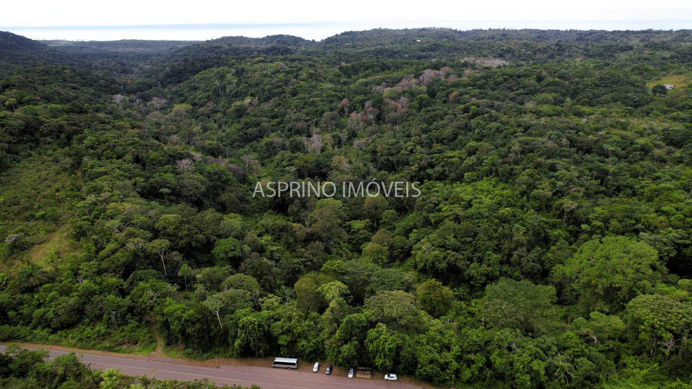 Terreno, 21 hectares - Foto 13