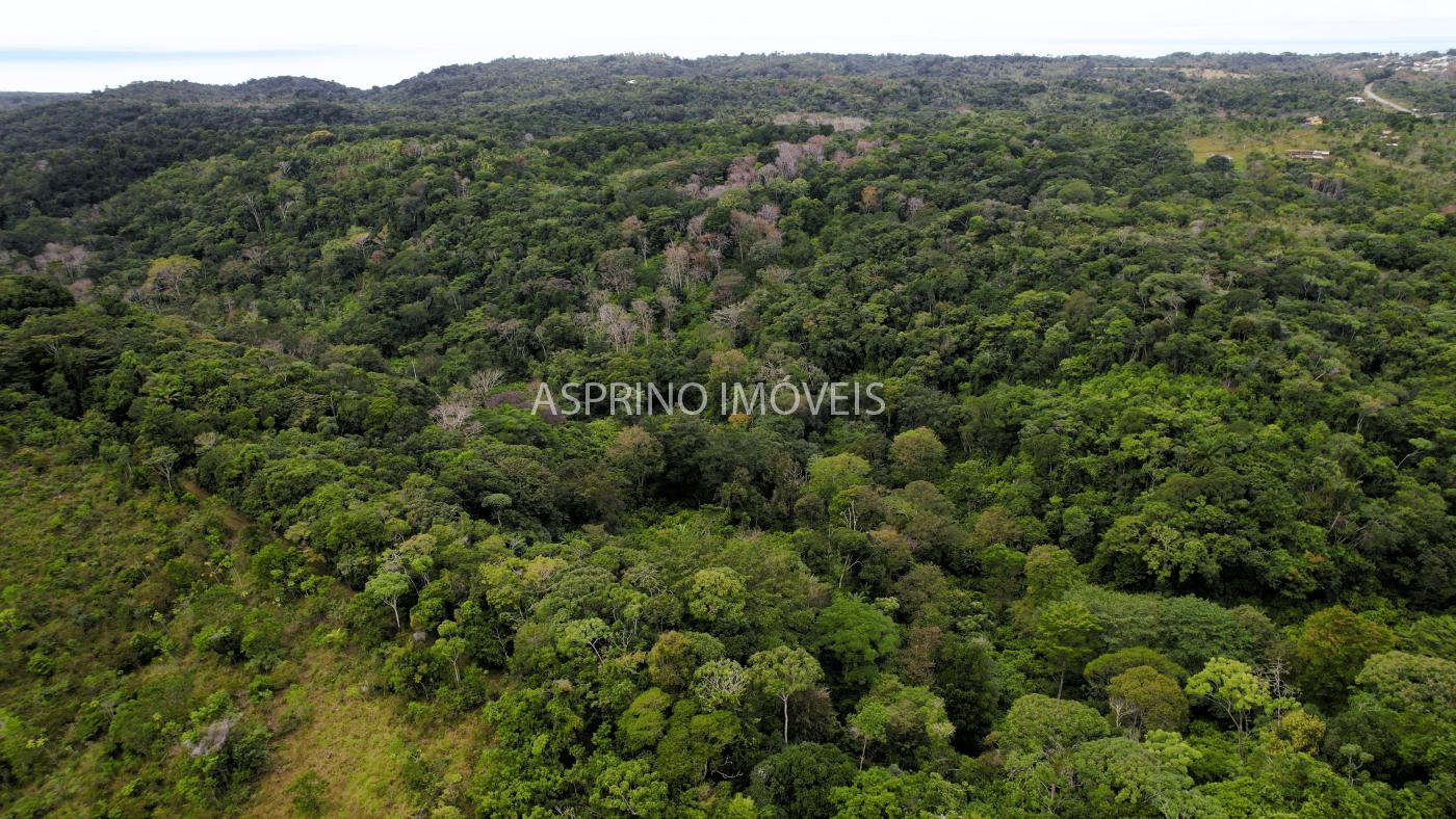 Terreno, 21 hectares - Foto 14