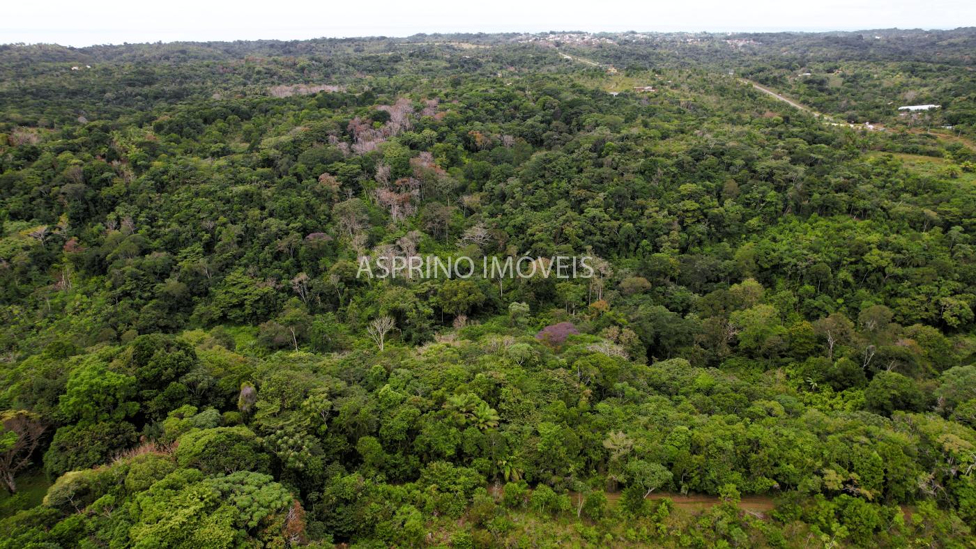 Terreno, 21 hectares - Foto 16