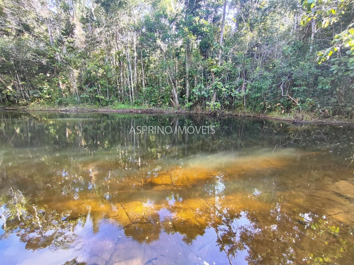 Terreno, 3 hectares - Foto 5