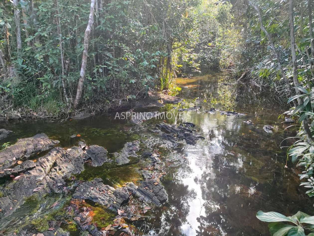 Terreno, 3 hectares - Foto 6