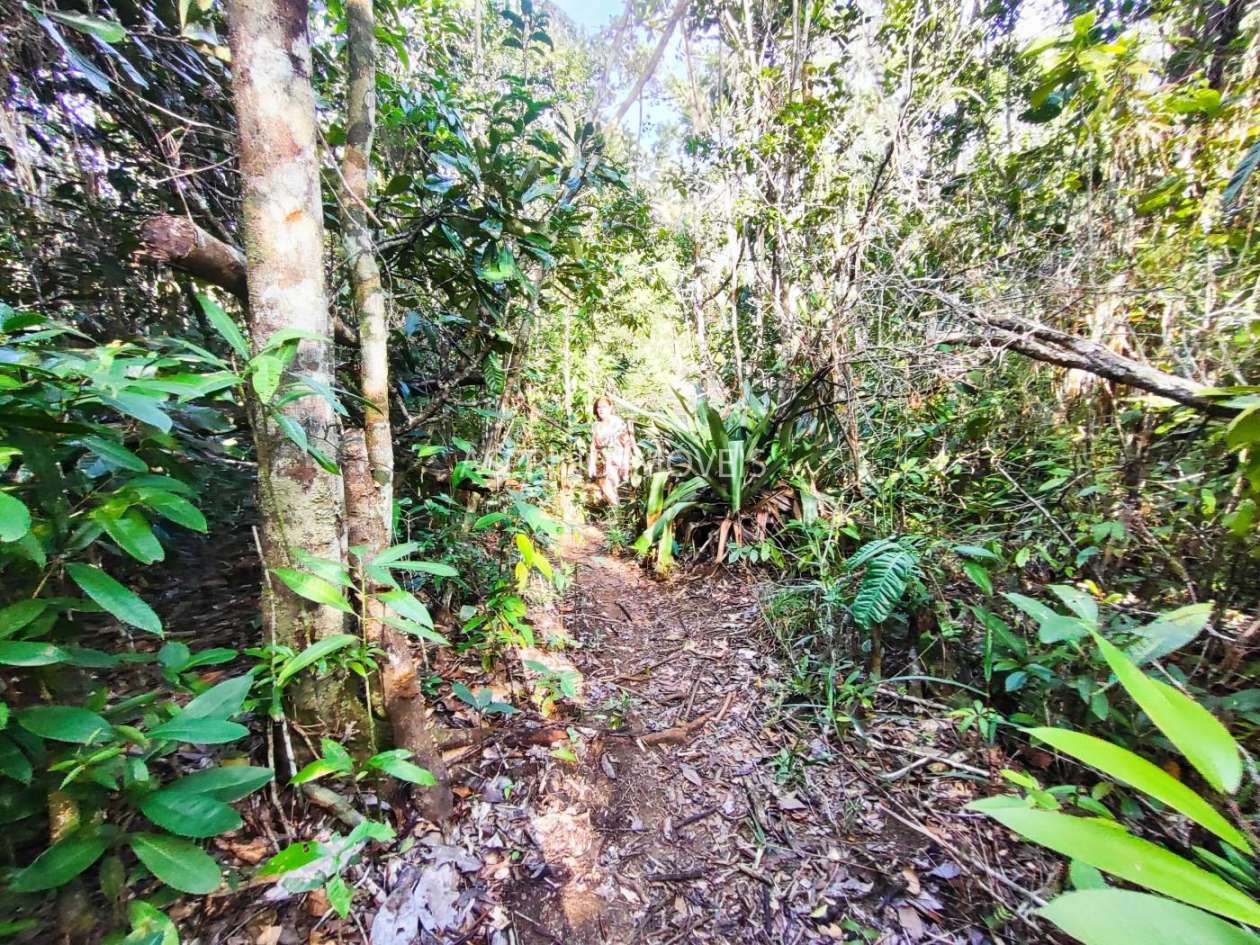 Terreno, 3 hectares - Foto 10