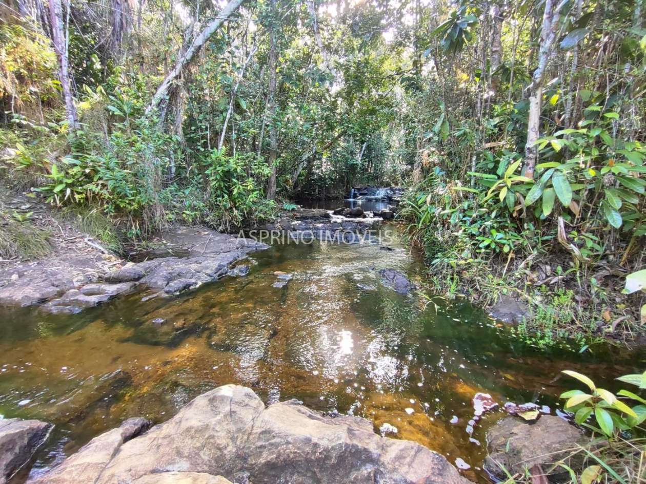 Terreno, 3 hectares - Foto 8