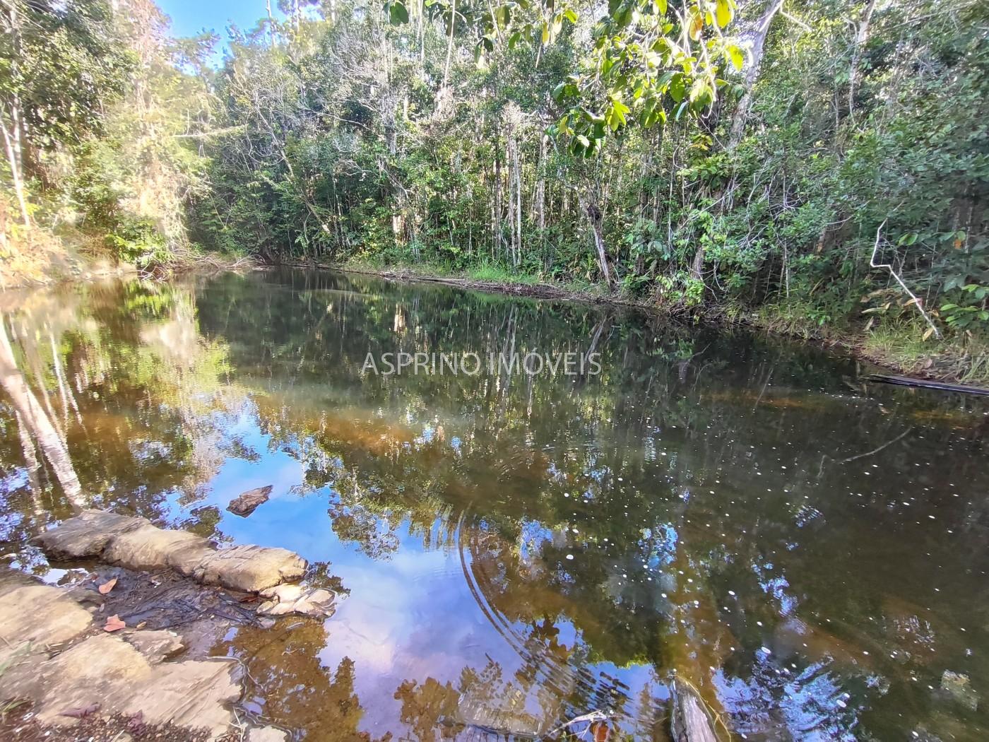 Terreno, 3 hectares - Foto 4