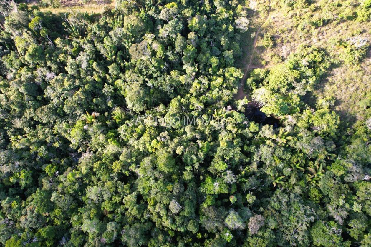 Terreno, 3 hectares - Foto 17