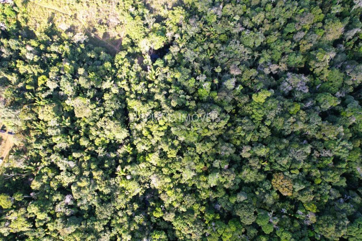 Terreno, 3 hectares - Foto 18