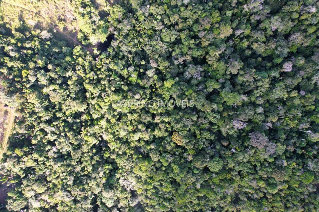 Terreno, 3 hectares - Foto 19