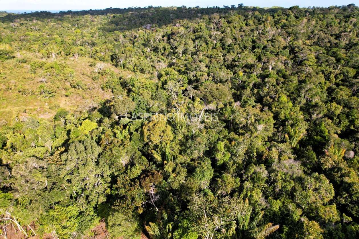 Terreno, 3 hectares - Foto 20