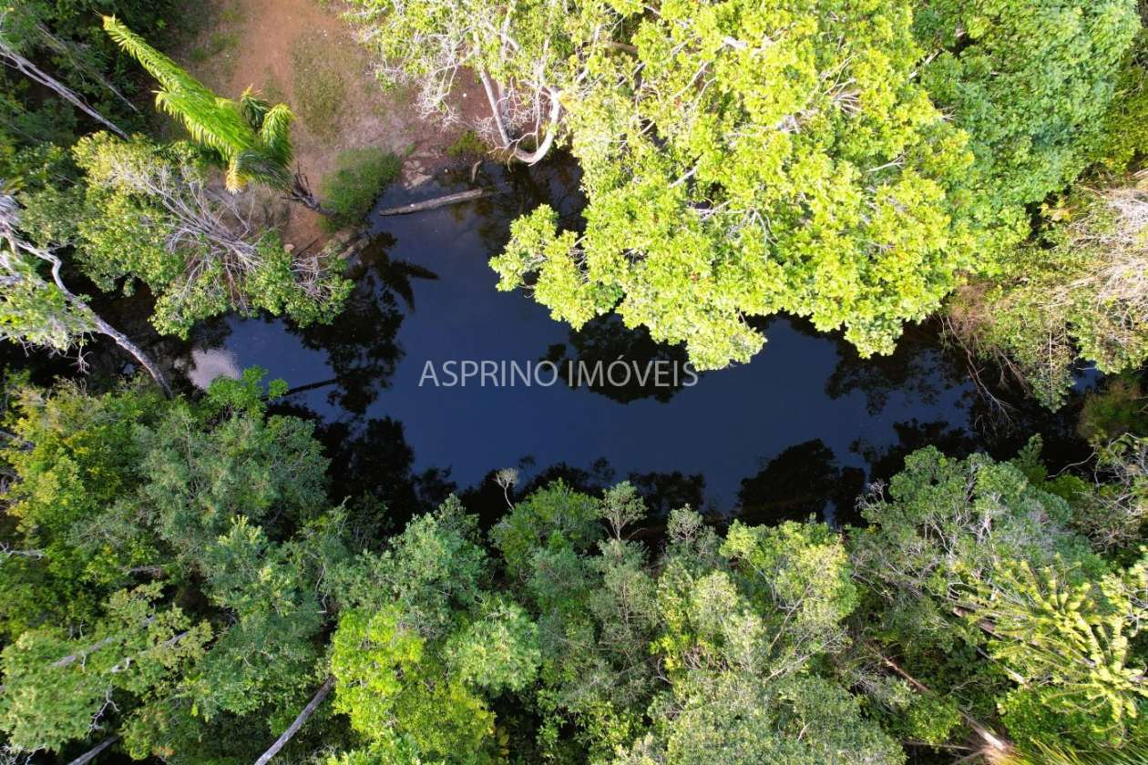 Terreno, 3 hectares - Foto 2