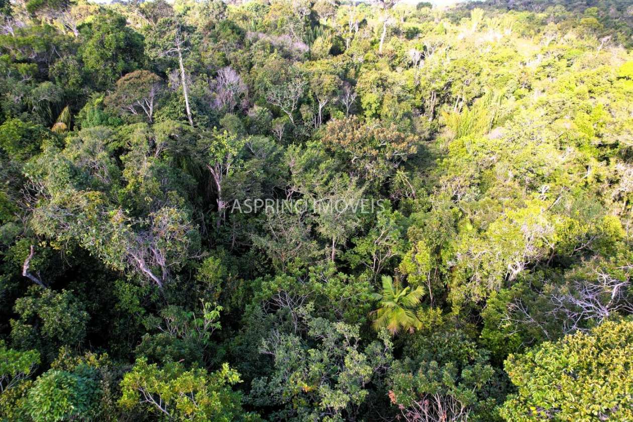 Terreno, 3 hectares - Foto 21