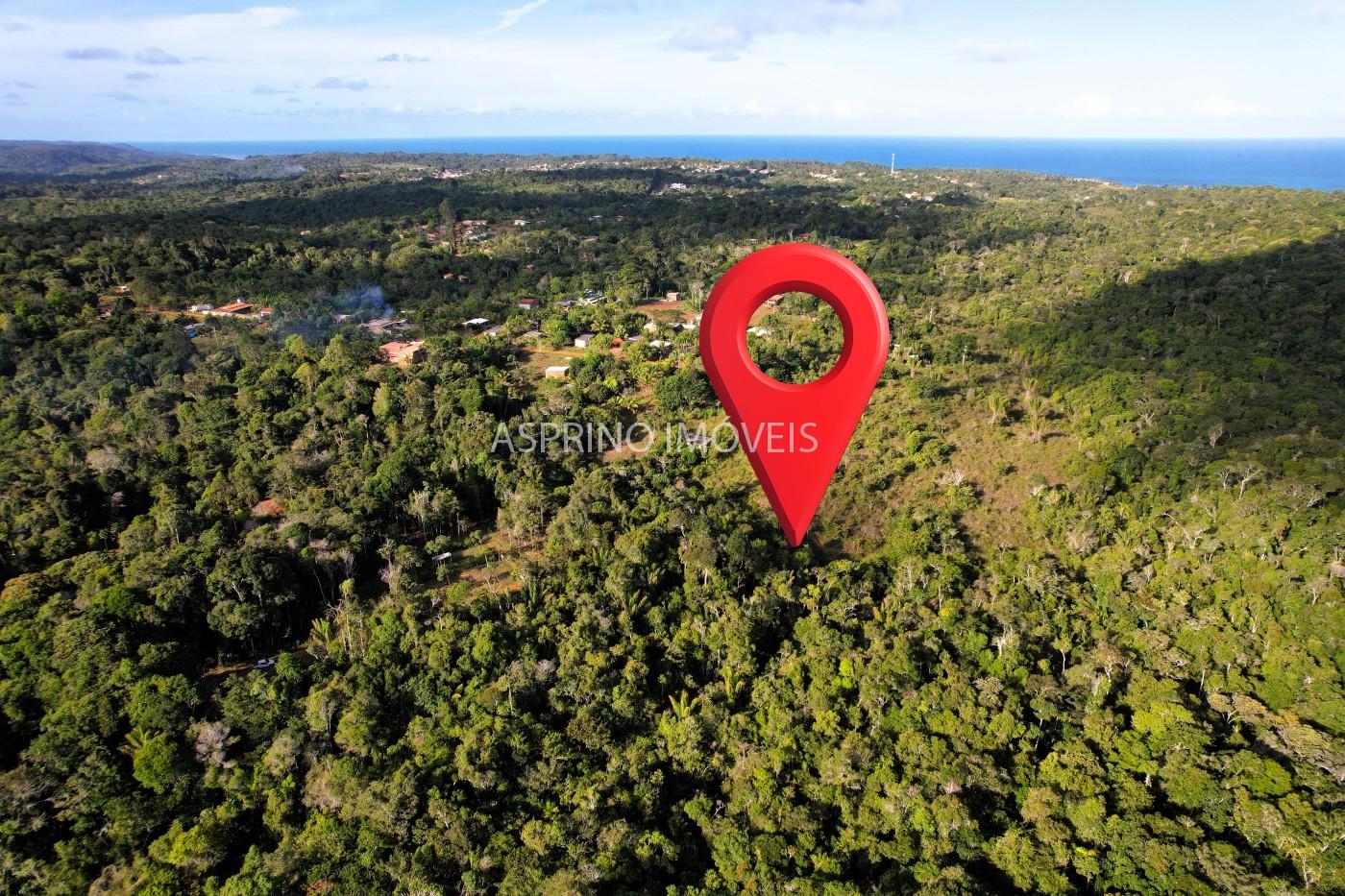 Terreno, 3 hectares - Foto 1