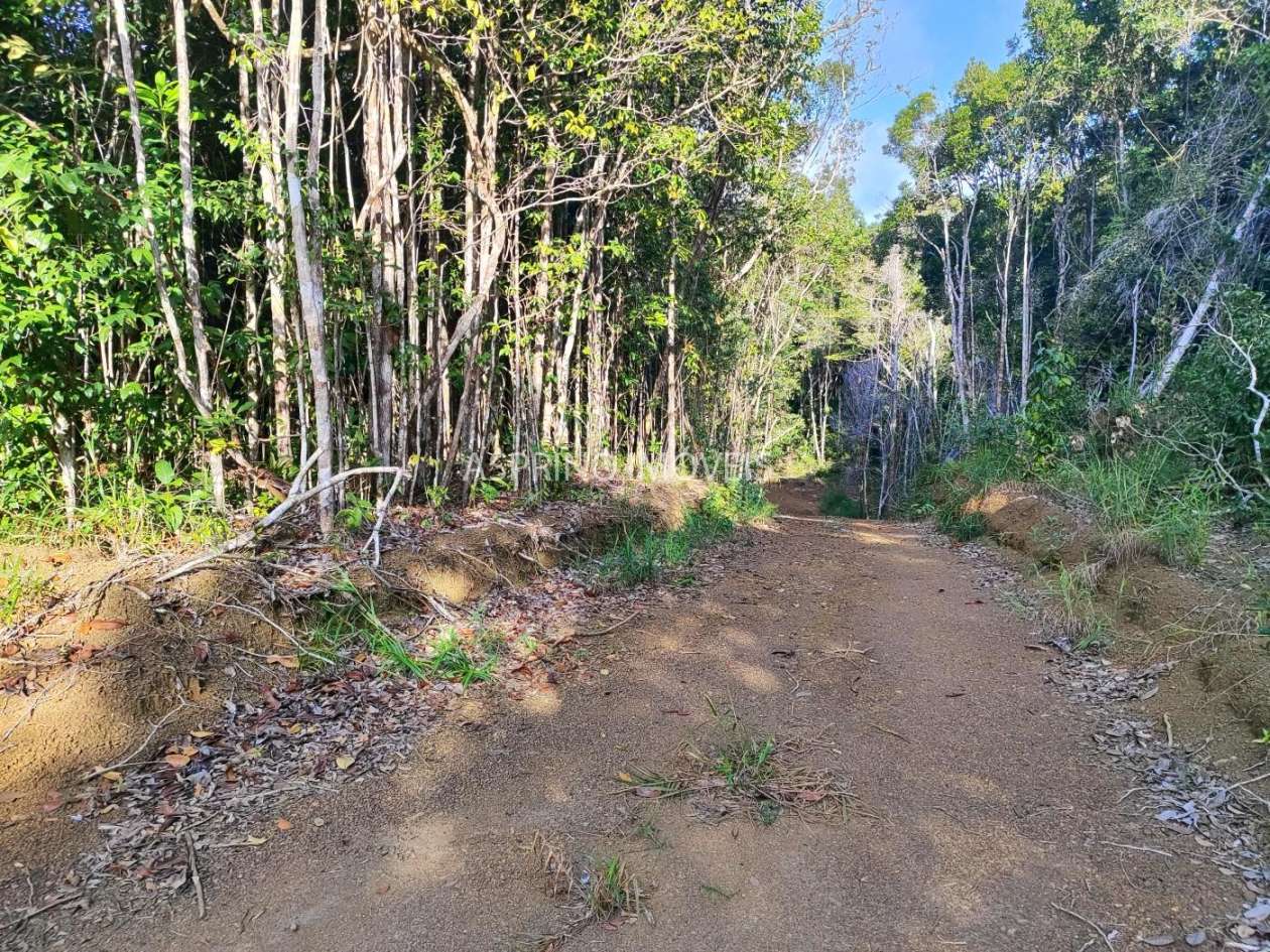 Terreno, 3 hectares - Foto 12