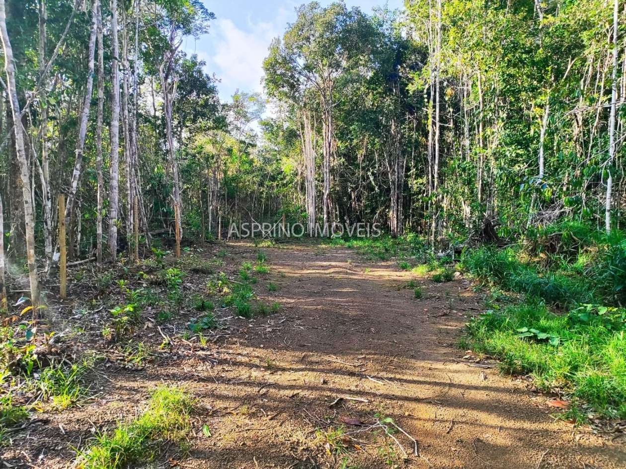 Terreno, 3 hectares - Foto 13