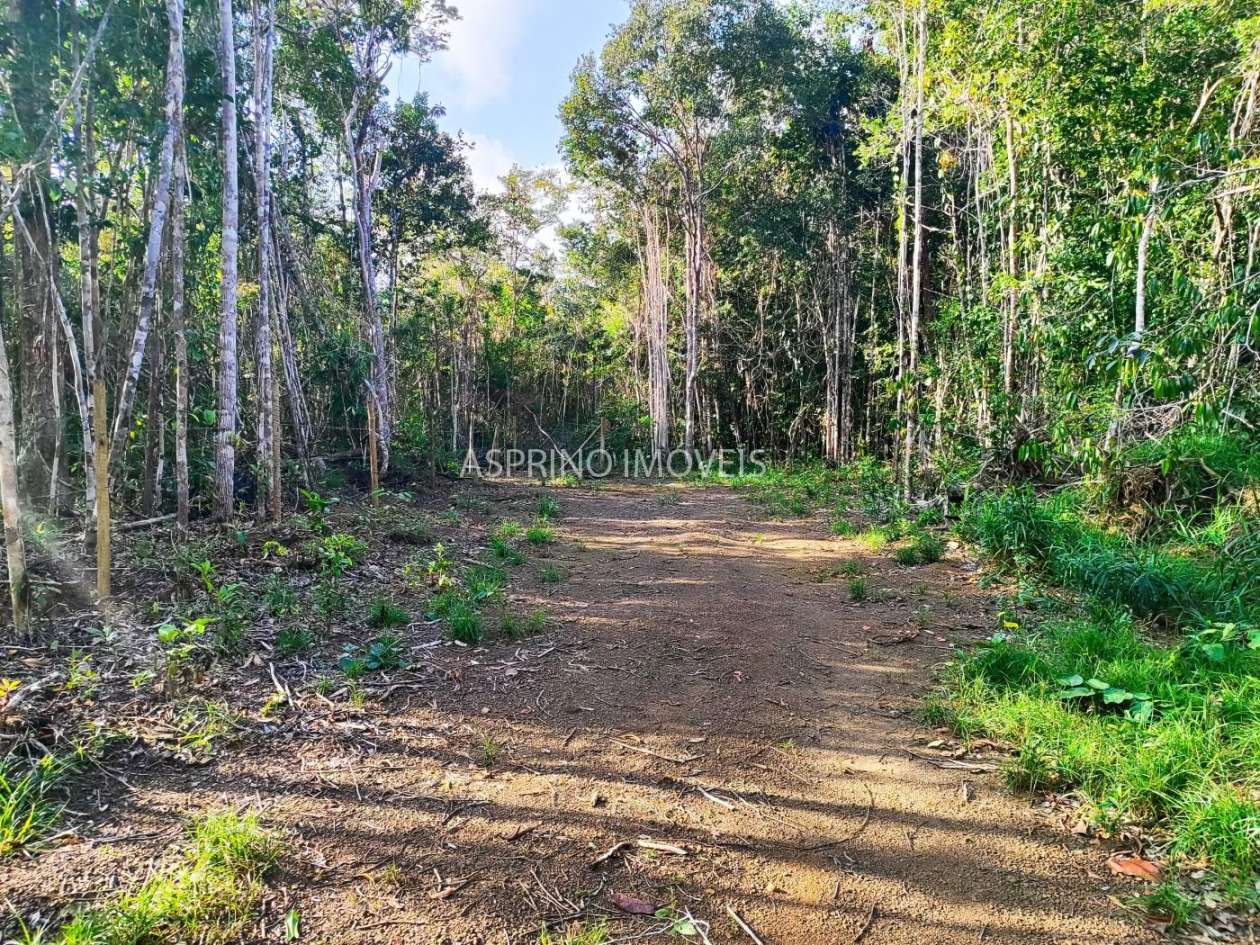 Terreno, 3 hectares - Foto 15