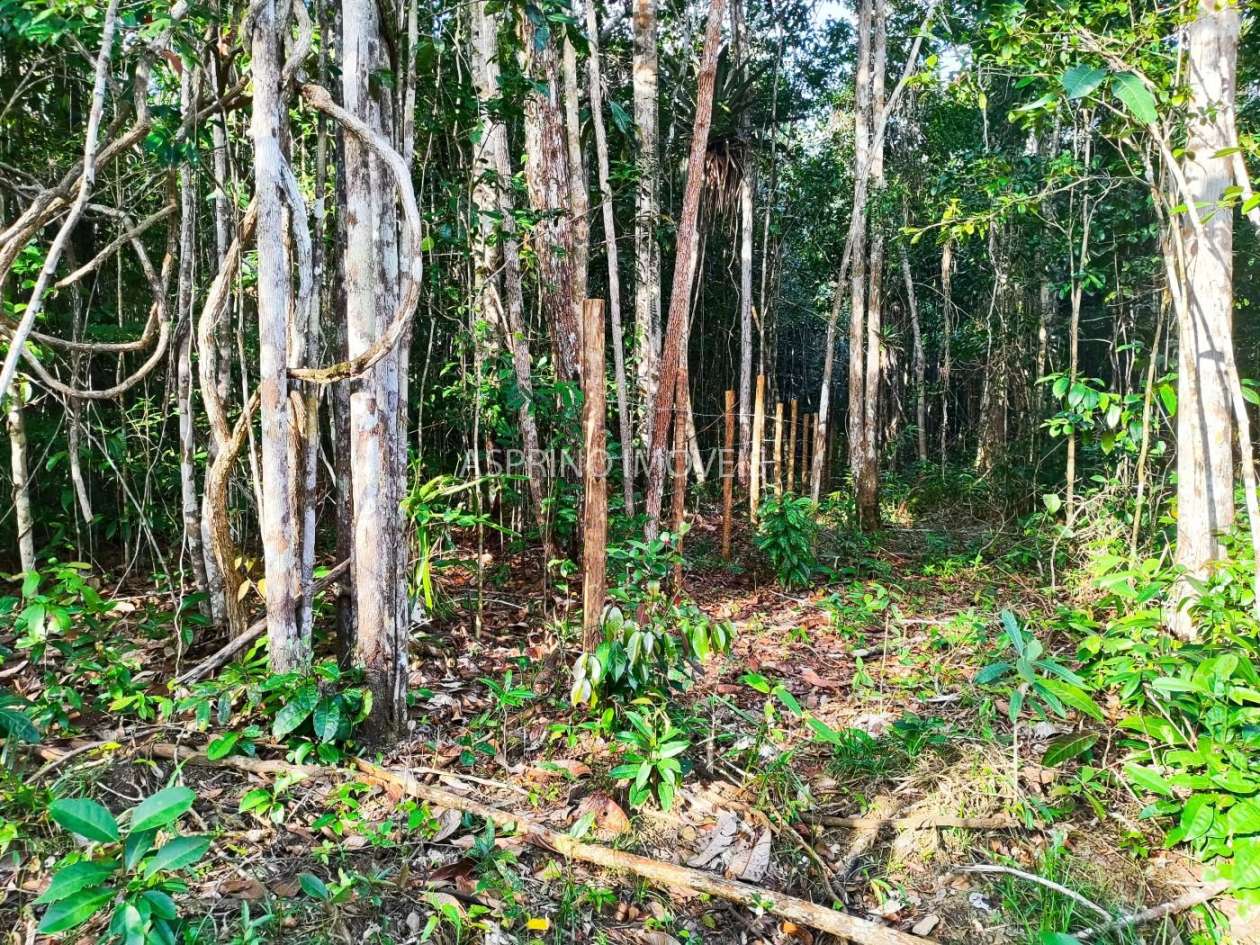 Terreno, 3 hectares - Foto 16