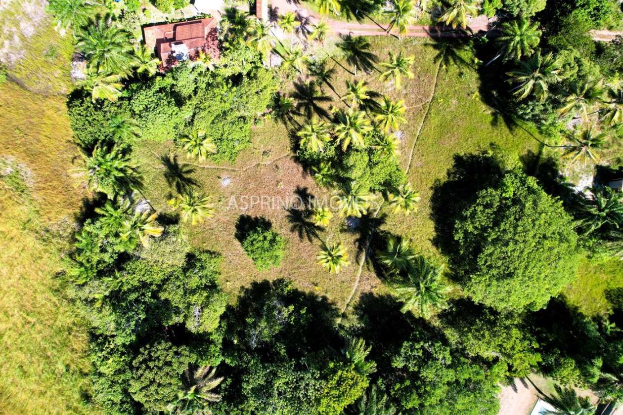 Terreno, 5354 m² - Foto 2