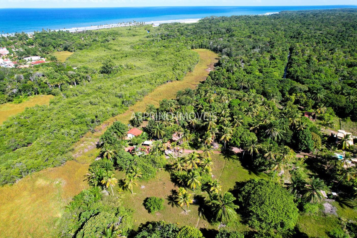 Terreno, 5354 m² - Foto 3