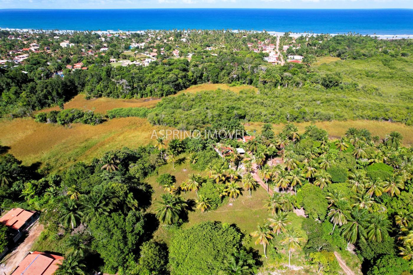 Terreno, 5354 m² - Foto 5