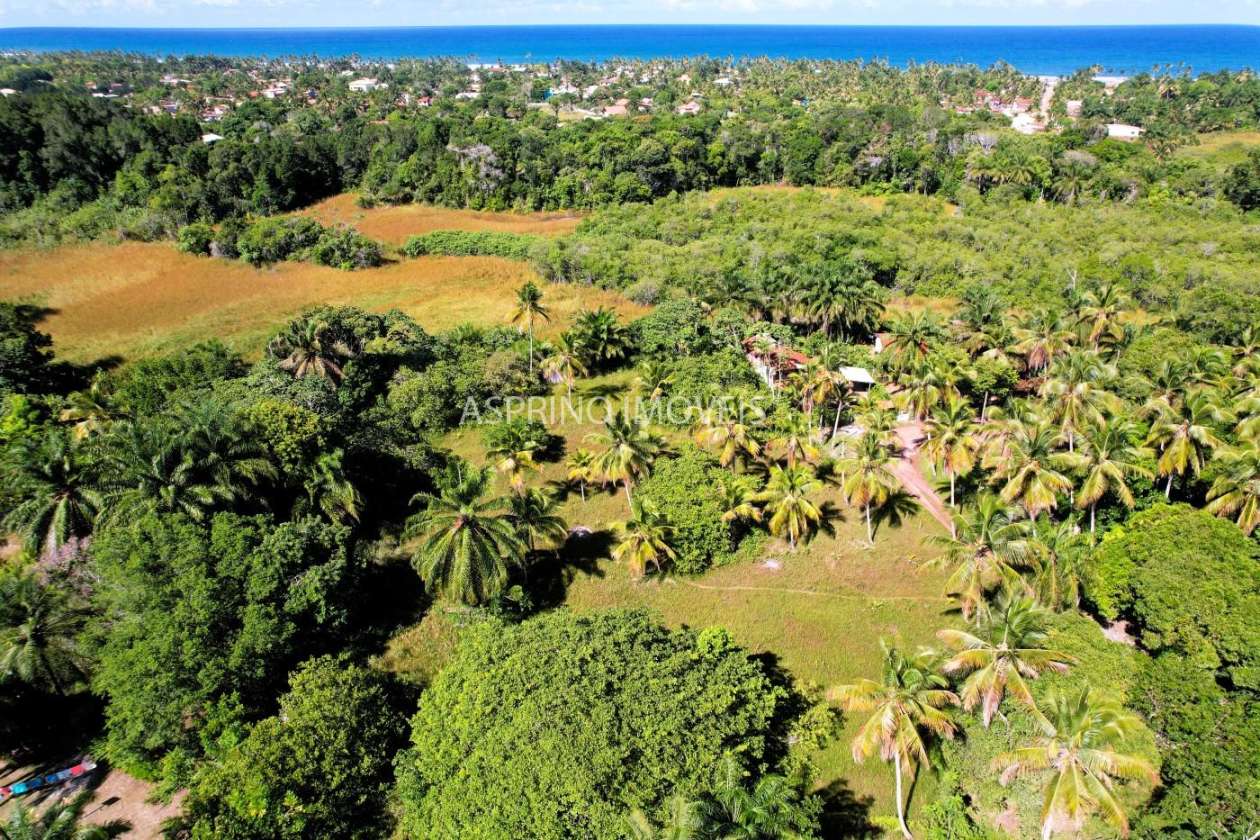 Terreno, 5354 m² - Foto 12