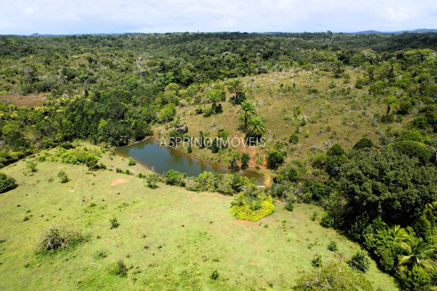 Fazenda, 32 hectares - Foto 11